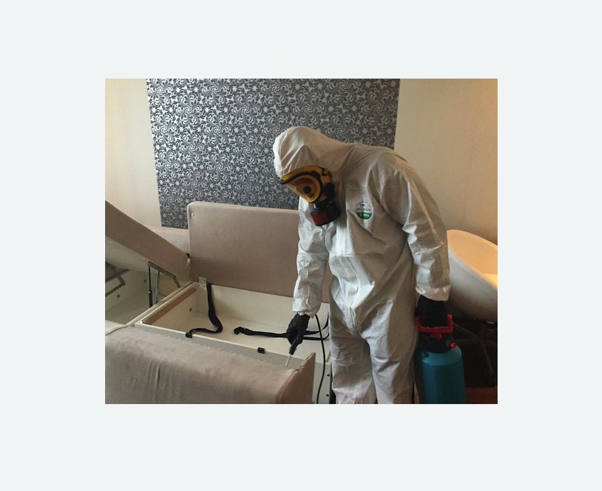 уничтожение клопов в квартире в Губкине